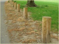 Landscape Poles - Reeves Timber Merchant Wem