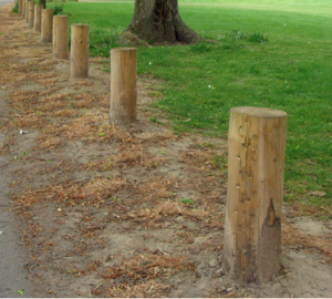 Telegraph Poles - Reeves Timber Merchant Wem