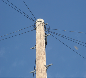 Telegraph Poles - Reeves Timber Merchant Wem